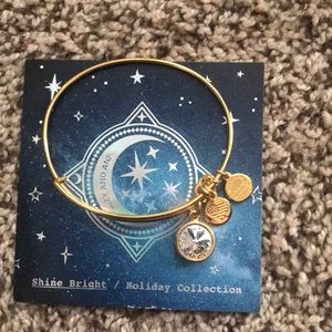 Alex and ani